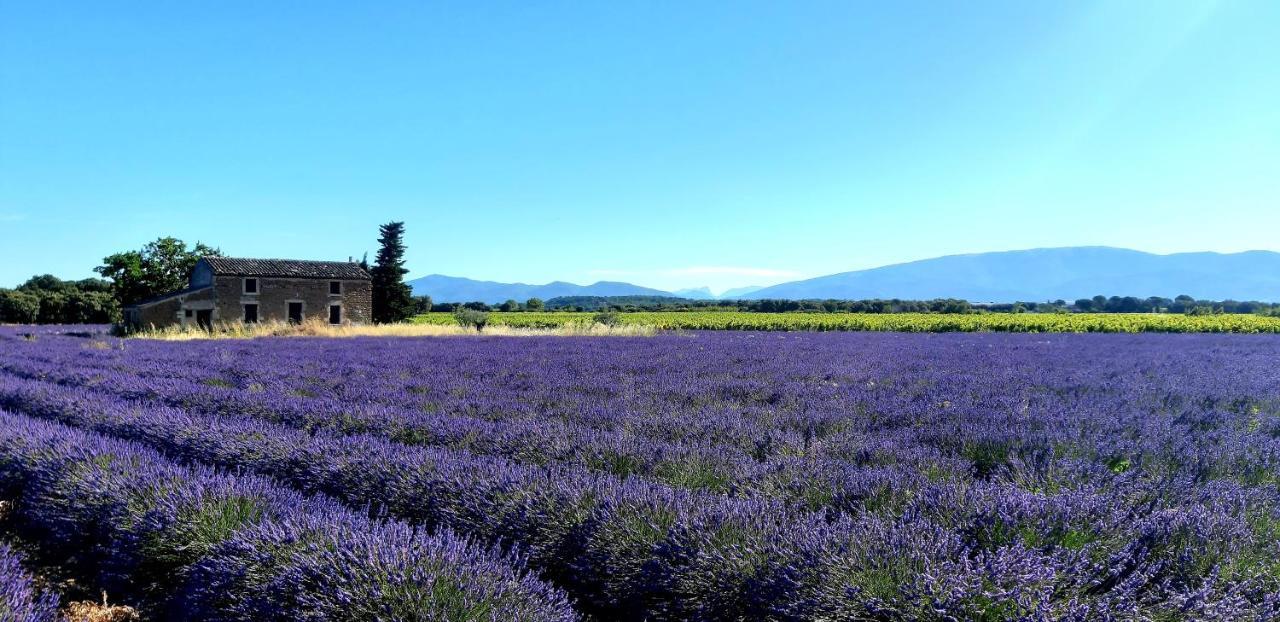 L'Instant Provence Villa Valréas Buitenkant foto